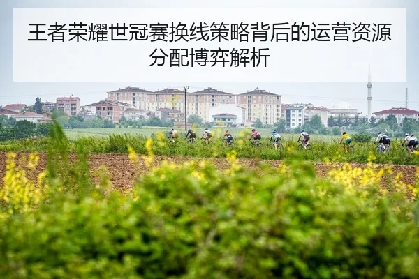 wang-zhe-rong-yao-shi-guan-sai-huan-xian-ce-lve-bei-hou-de-yun-ying-zi-yuan-fen-pei-bo-yi-jie-xi-2-430.jpg